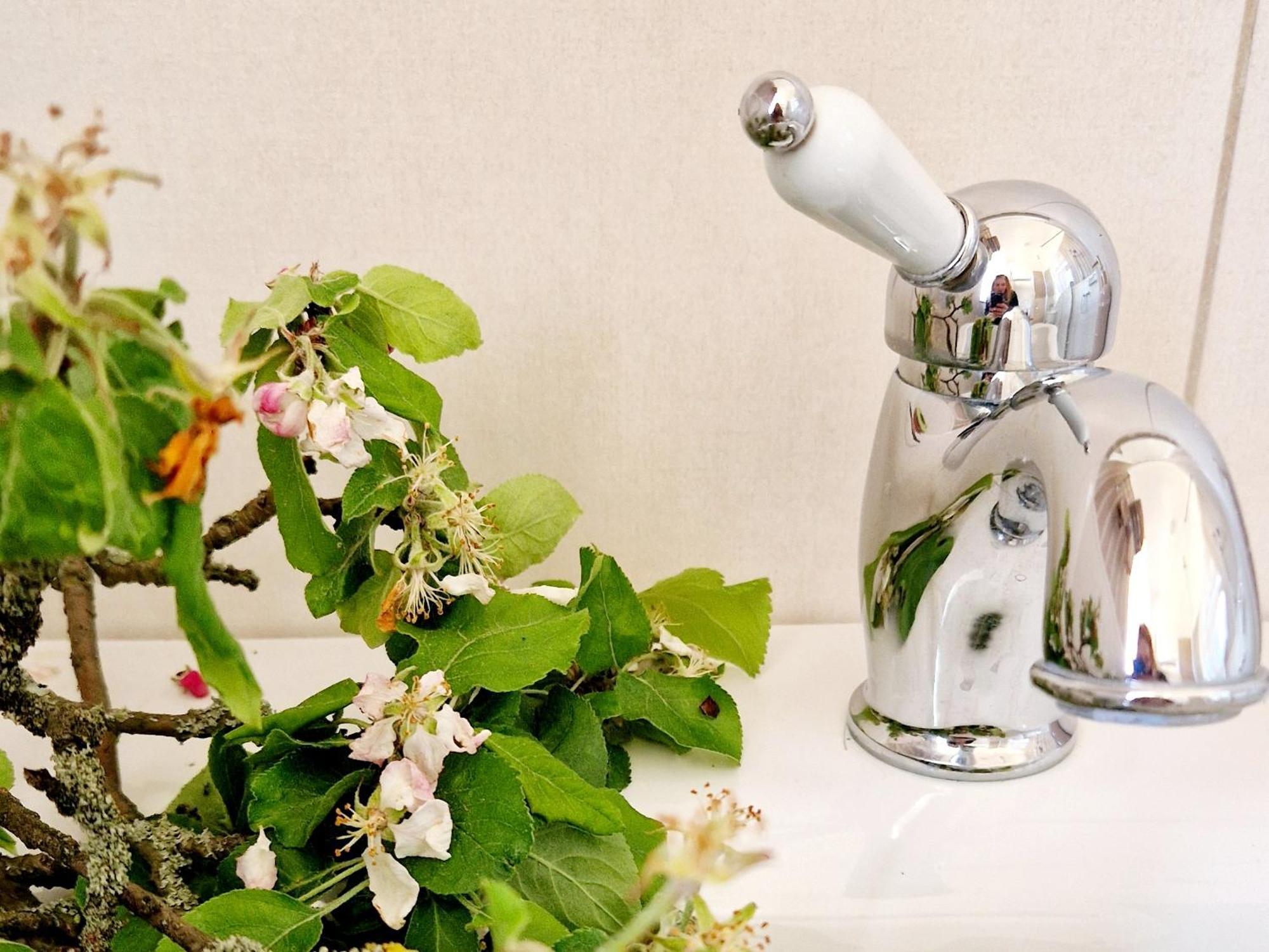 Villa Follemira Cz - Kitchen - Garden - Bike Storage Pencin 外观 照片